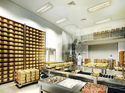 Ct Foodnex (D25), Factory #452373991